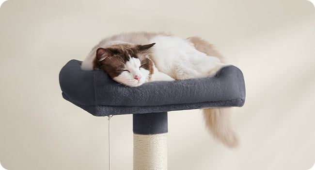 Feandrea Cat Tree, 143 cm Cat Tower for Indoor Cats, Multi-Level Plush Cat Condo with 4 Scratching Posts, 2 Perches, Cave