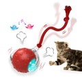 Jeux interactif pour chat
