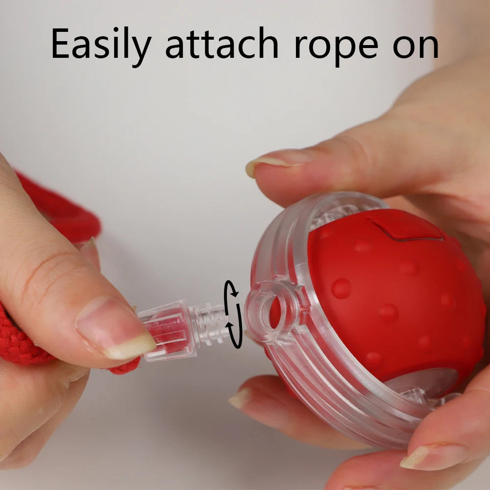 Jeux interactif pour chat