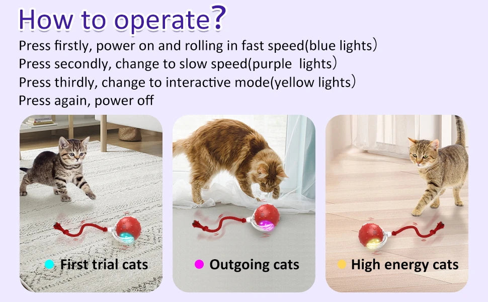 Jeux interactif pour chat