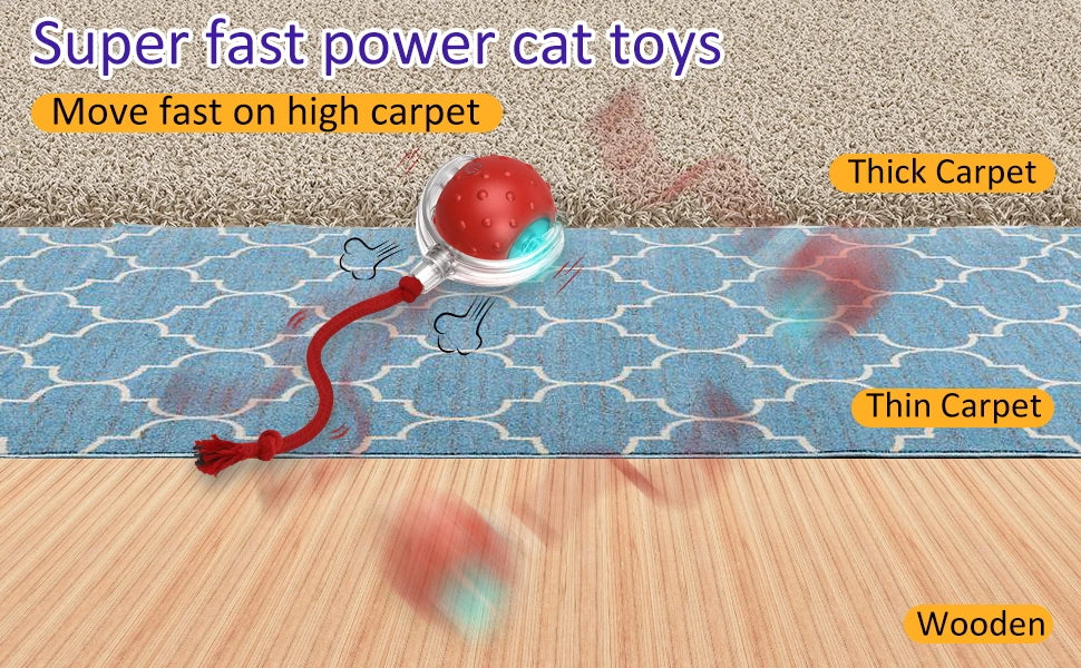 Jeux interactif pour chat