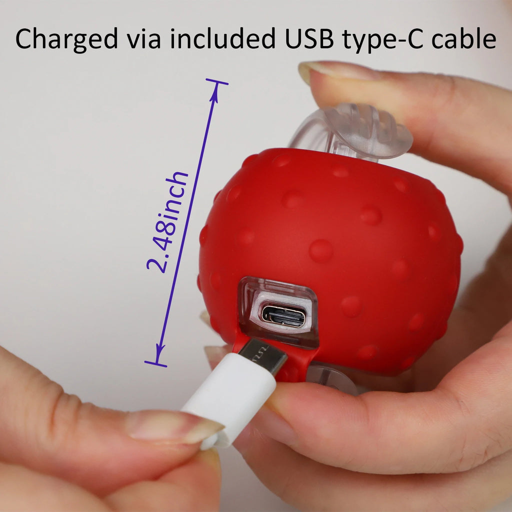 Jeux interactif pour chat