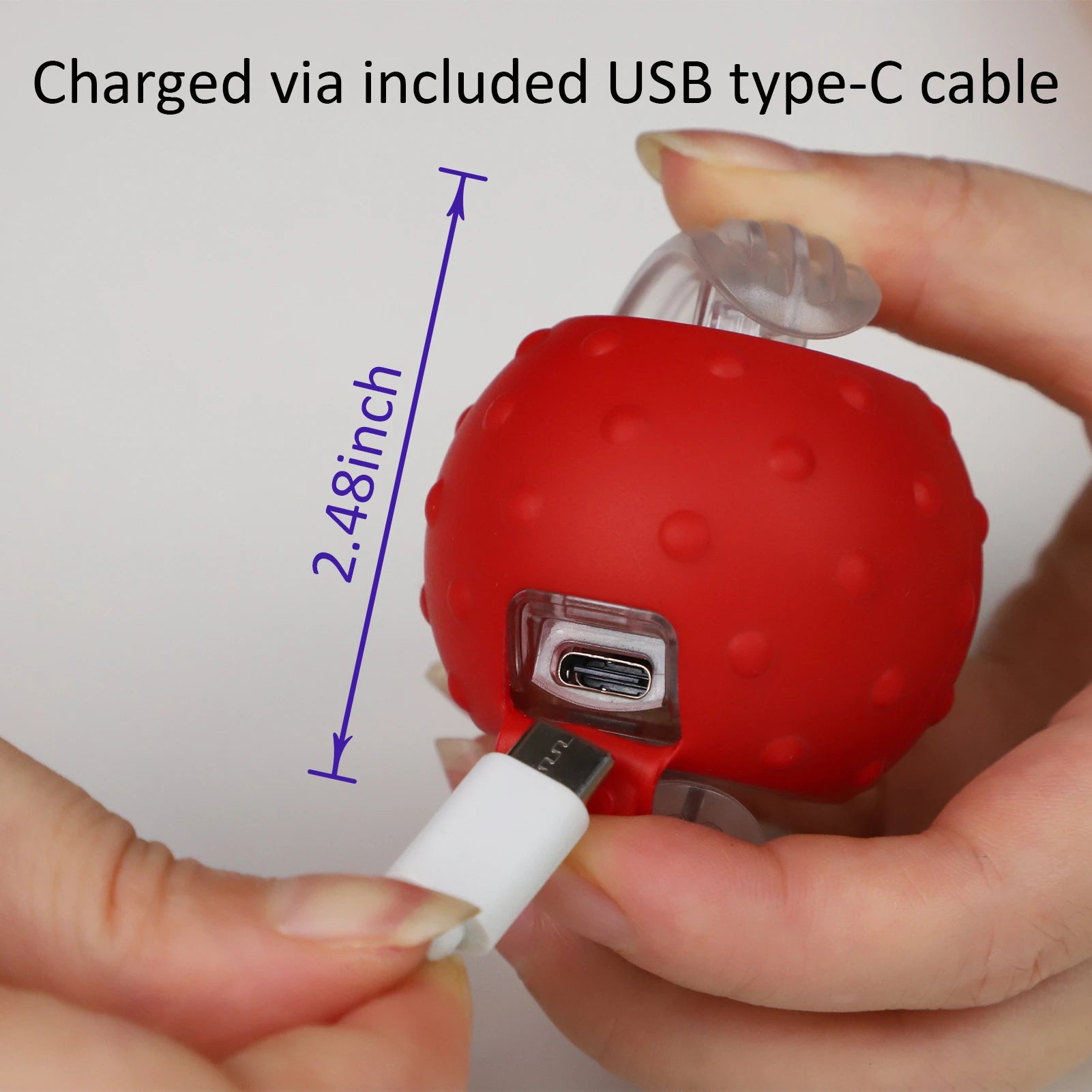 Jeux interactif pour chat