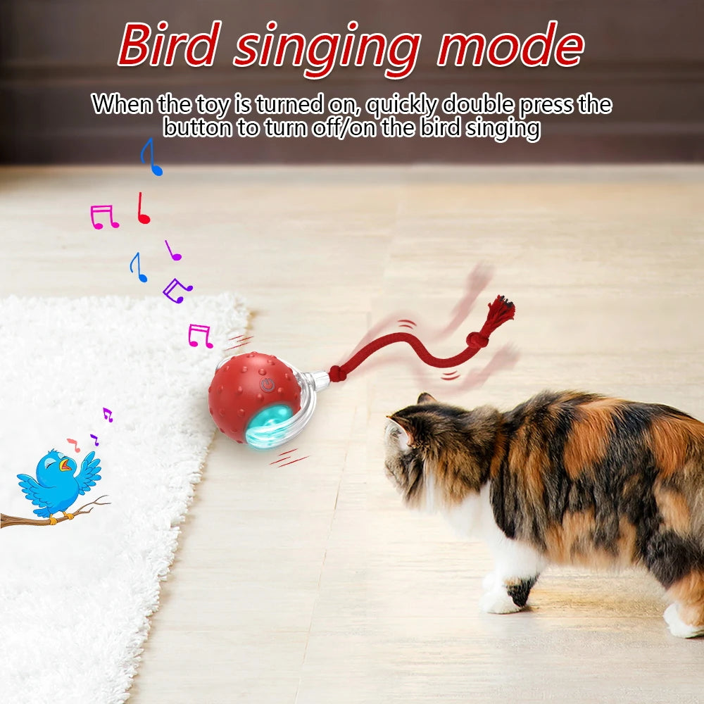 Jeux interactif pour chat