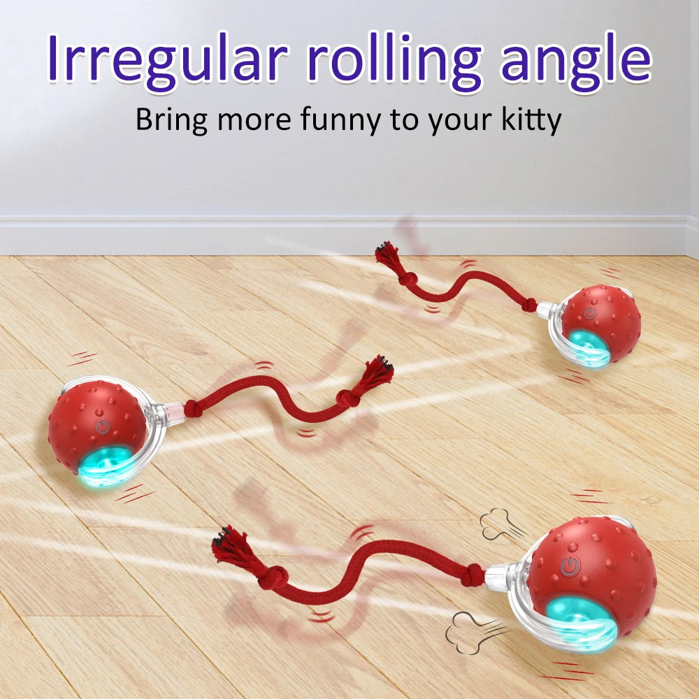 Jeux interactif pour chat